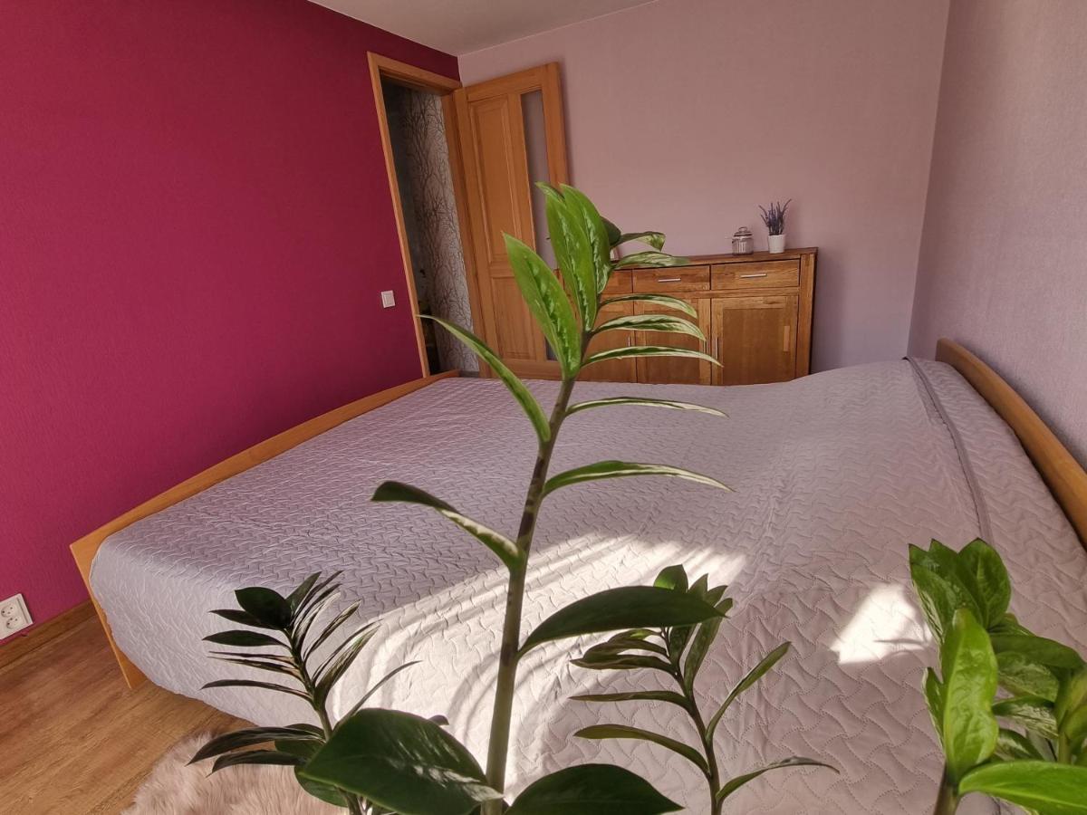 Apartment Kursi Kolka Zewnętrze zdjęcie